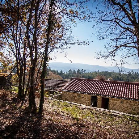 Affittacamere Casas Dos Avos Vale de Cambra Camera foto