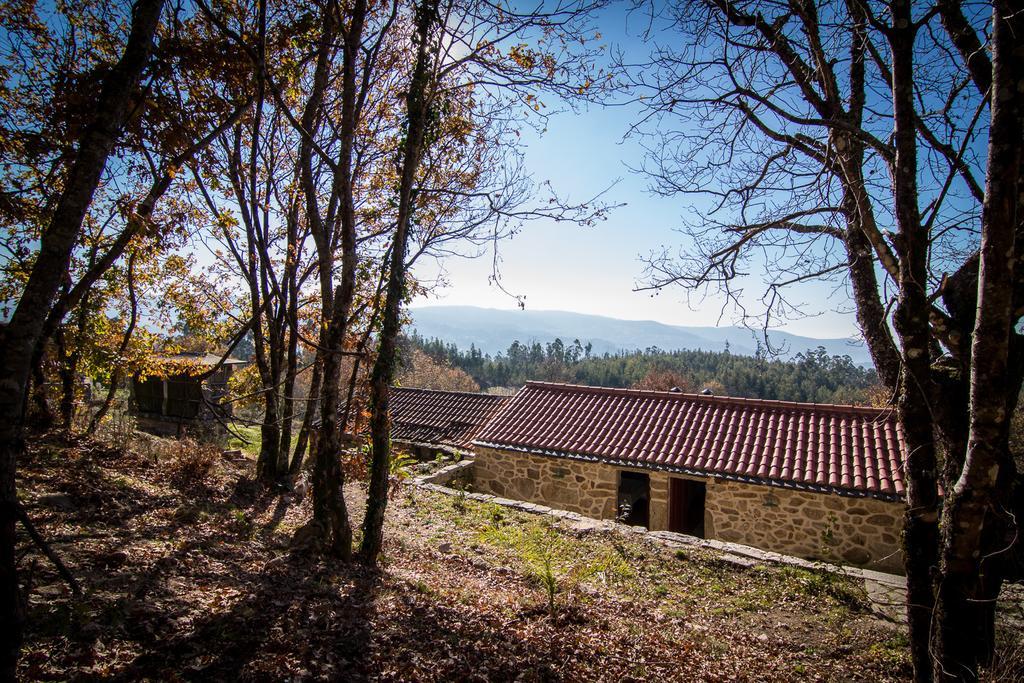 Affittacamere Casas Dos Avos Vale de Cambra Camera foto